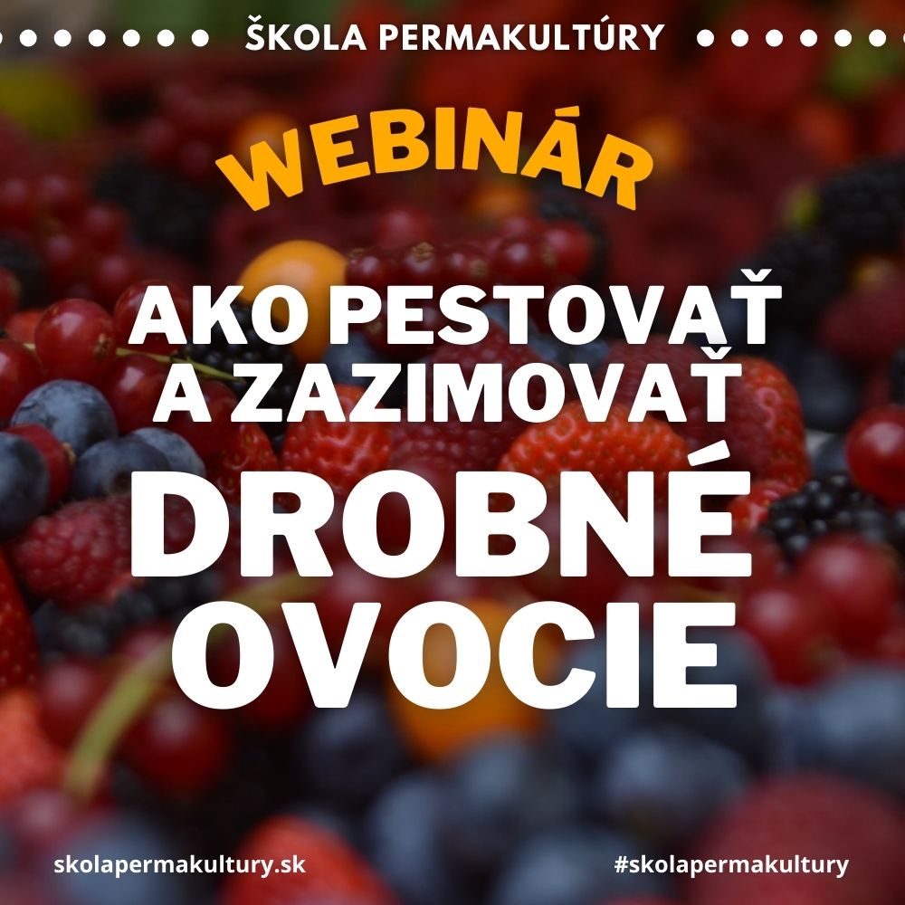 Ako pestovať a zazimovať drobné ovocie