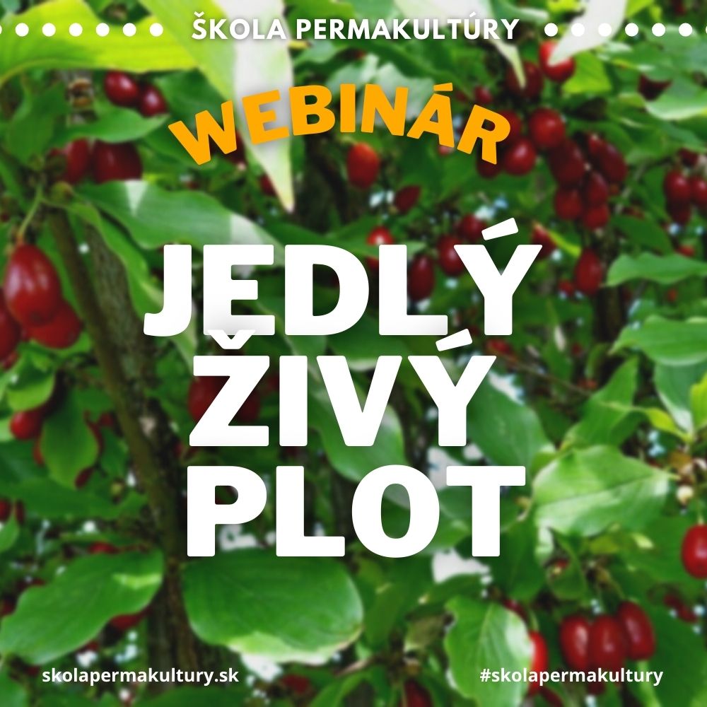 Jedlý živý plot