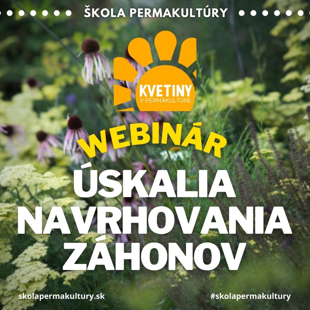 Kvetiny – úskalia navrhovania záhonov