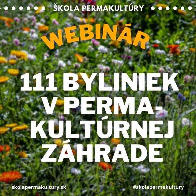 111 byliniek v permakultúrnej záhrade