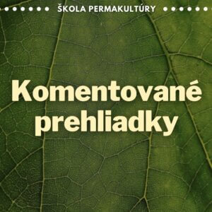 Komentované prehliadky
