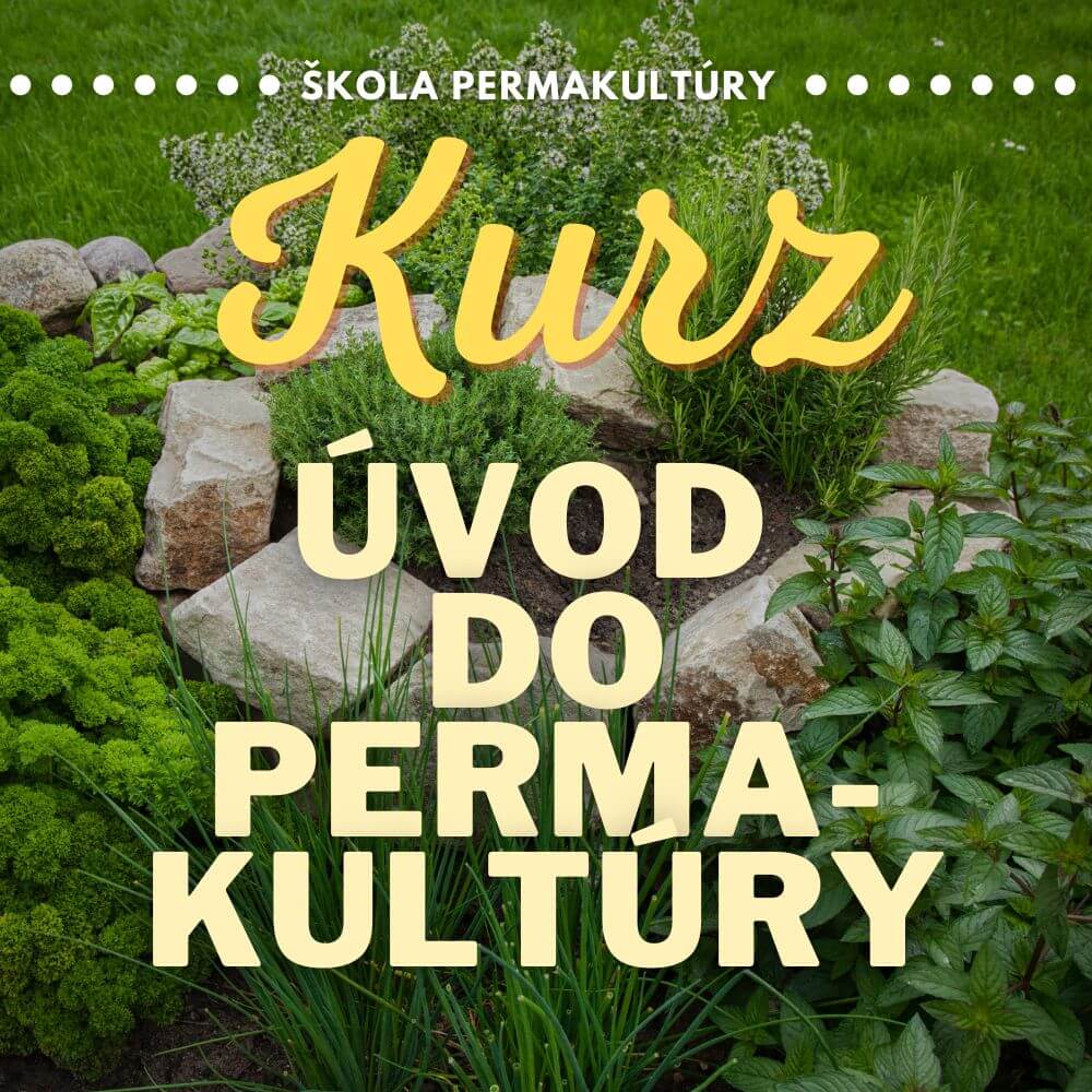 Kurz: Úvod do permakultúry