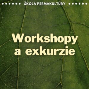 Workshopy a exkurzie