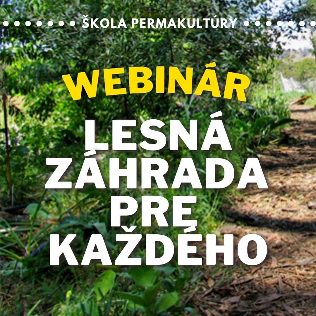 Lesná záhrada pre každého