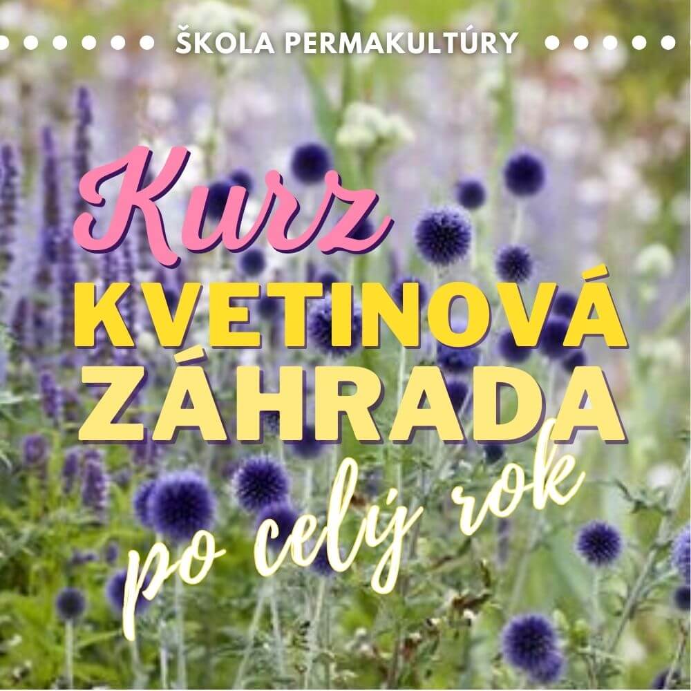 Kurz: Kvetinová záhrada po celý rok