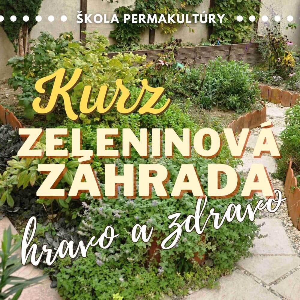 Kurz: Zeleninová záhrada hravo a zdravo